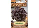 Semi Di Basilico Rosso Moravoseed