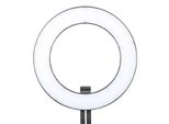 Falcon Eyes DVR-384DVC Illuminazione Continua Per Studio Fotografico 23 W