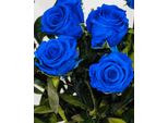 100 Pezzi Semi Rari Rose Rosa Blu Giardino Balcone Vaso Pianta Semi Di Rosa