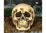 Scheletro Teschio Decorazione Di Halloween Spaventoso Teschio Prop Orrore Decorazione Casa Infestata Festa 22 Cm Realistico, Colore: Beige