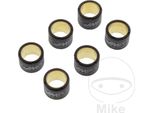 Kit 6 Rulli Variatore Jmp 16X13Mm 3,6G