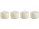 Blomus Set Di 4 Candele Di Ricarica Frable Agave, Candele Profumate, Candele, Senza Olio Di Palma, 66419