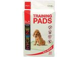 Tappetino Dog Fantasy 55,8 × 55,8 Cm 30 Pezzi