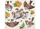 Kit Per Ricamo A Punto Croce Letistitch "Passeri"", Schema Contato, 23X22Cm"