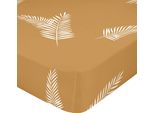 Lenzuolo A Pieghe Happyfriday Blanc Colorato 28 X 2 X 38 Cm 140 X 200 X 32 Cm