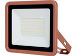 Rev Proiettore Led Eco+, 30W, 6500K, 2550Lm, Bianco Freddo, IP65, Terracotta