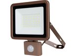 Rev Proiettore Led Eco+, Con Sensore, 30W, 6500K, 2550Lm, Bianco Freddo, IP44, Bronzo