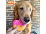 Giocattolo Per Cani Nylabone Pink Bacon L