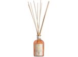 Logevy - Profumo Per Ambiente - Zenzero E Lime - 3 L - Note Speziate Di Zenzero E Lime