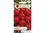 Semi Di Ravanello Carmen - Tondi, Rossi, 10G