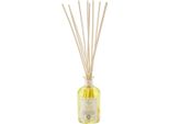 Logevy - Profumo Per Ambiente - Agrumi Speziati - 3 Litri - Note Agrumate Di Mandarino, Pompelmo E Limone