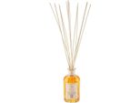 Logevy - Profumo Per Ambienti - Arancia E Cannella - 3 Litri - Note Agrumate E Speziate Di Arancia E Cannella