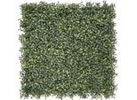Siepe Artificiale Di Bosso Emmaus - 100 X 100 Cm - Edera Artificiale - Pannello Murale - Schermo Privacy Per Balcone