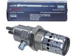 Candela Di Preriscaldamento Borgwarner (Beru) GF529