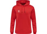 Hummel Hmlcore Xk Poly Sweat Hoodie
