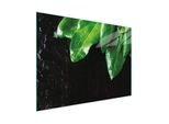 Tagliere Piastra Copriforno Tagliere In Vetro Multiplo 30X22 Cm Basilico Foliage
