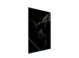Tagliere In Vetro 35X52 Koza