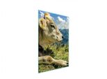 Tagliere In Vetro 35X52 Mucca