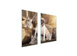Piastre Copri Fornelli 2 Pezzi 75X52 Ceramica Copri Piano Cottura Vetro Tagliere Gatto Cane