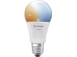Ledvance 4058075778412 Ledvance Wlan-Lampe Smart+ Wifi Classic A60 Tw E27 9 W Matt