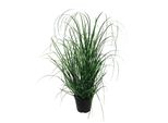 Kunstgras Creativ Green "Gras", GrüN, B:6Cm H:60Cm, Kunststoff, Kunstpflanzen