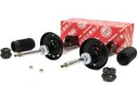MASTER-SPORT 16K002413 Ammortizzatore Asse Anteriore Per Opel Astra G Cc (T98)
