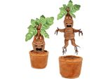 Play By Play Harry Potter Con Mandragola Sonora 25 Cm TeddybäR Taglia Unica