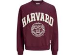 Jack & Jones Harvard Styd Felpa Viola S Uomo Viola S