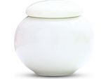 Elegante Mini Urna Per La Conservazione Delle Ceneri Da 100 Ml - Urna Commemorativa Per Animali E Persone - Bianco