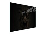 Tagliere In Vetro 52X40 Koza