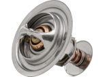 Dayco Termostato Liquido Di Raffreddamento 82°C Per Opel Vectra C Caravan (Z02) Vectra C Berlina (Z02) Signum Cc (Z03) Vectra C Cc (Z02) Per Renault Espace Iv