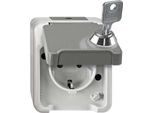 Merten Mert Schuko Serratura Per Presa Di Corrente MEG2423-8029 Chiave/Blocco N. 200 Grigio Chiaro MEG2423- MEG2423-8029 (MEG2423-8029)