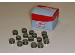 Guarnizione Dello Stelo Della Valvola Set Di Guarnizioni Corteco (19036035) Set Di Guarnizioni Della Testa Del Cilindro Set Di Guarnizioni Dello Stelo Della Valvola