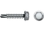 Vite Autofilettante Celo 6,3 X 19 Mm Vite Per Lamiera 250 Pezzi Zincata