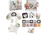 Taf Toys 12915, 0 Anni/Anni, Suoni, Multicolore