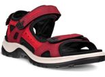 Scarpe Ecco Offroad 06956356447