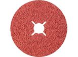 Rhodius Dischi In Fibra Kfx 115 X 22,23 P80 Topline