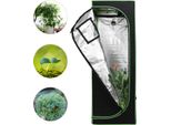 Tolletour Tenda Per Piante Tenda Per Piante Serra Box Giardino Coltivazione Ortaggi Erbe Armadio Per La Coltivazione Indoor 60X60X180 Cm