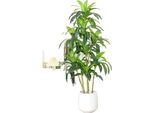 Albero Artificiale, Aspetto Realistico, Facile Da Curare, Decorazione Versatile