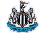 Newcastle United Fc - Magnete Da Frigo, Crest TA13394 (7 Cm X 7 Cm) (Nero/Bianco/Blu)