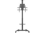 Speaka Professional SP-TVC-1300 Tv-Rollwagen HöHenverstellbar 94.0 Cm 37" - 190.5 75"" (SP-13383160)"