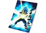 Dragon Ball Super Universal Survival Vegeta 3D Poster