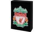 Liverpool Fc - Carte Da Gioco Con Stemma GF560 (Taglia Unica) (Nero)