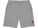Liverpool Fc - Pantaloncini Da Uomo GF513 (Xxl) (Grigio)