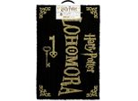 Harry Potter Alohomora Zerbino PM243 (Taglia Unica) (Nero/Azzurro)