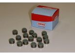 Corteco Kit Guarnizioni Stelo Valvola Guarnizioni Stelo Valvola 19036072 Per Ford Puma Hatchback Fpm (Gomma Fluorurata)