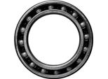 Ceramicspeed 61802 Cuscinetto Singolo Nero, Argento Nero, Argento Taglia Unica