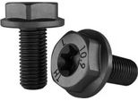 Viti Dema Torx T40 Argento M8 X 18 Mm Argento M8 X 18 Mm