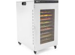 Essiccatore Di Frutta G21 Bora, Acciaio Inox