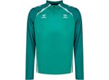Hummel Real Betis 25/26 Lead 2.0 Felpa Con Mezza Zip Verde L Uomo Verde L